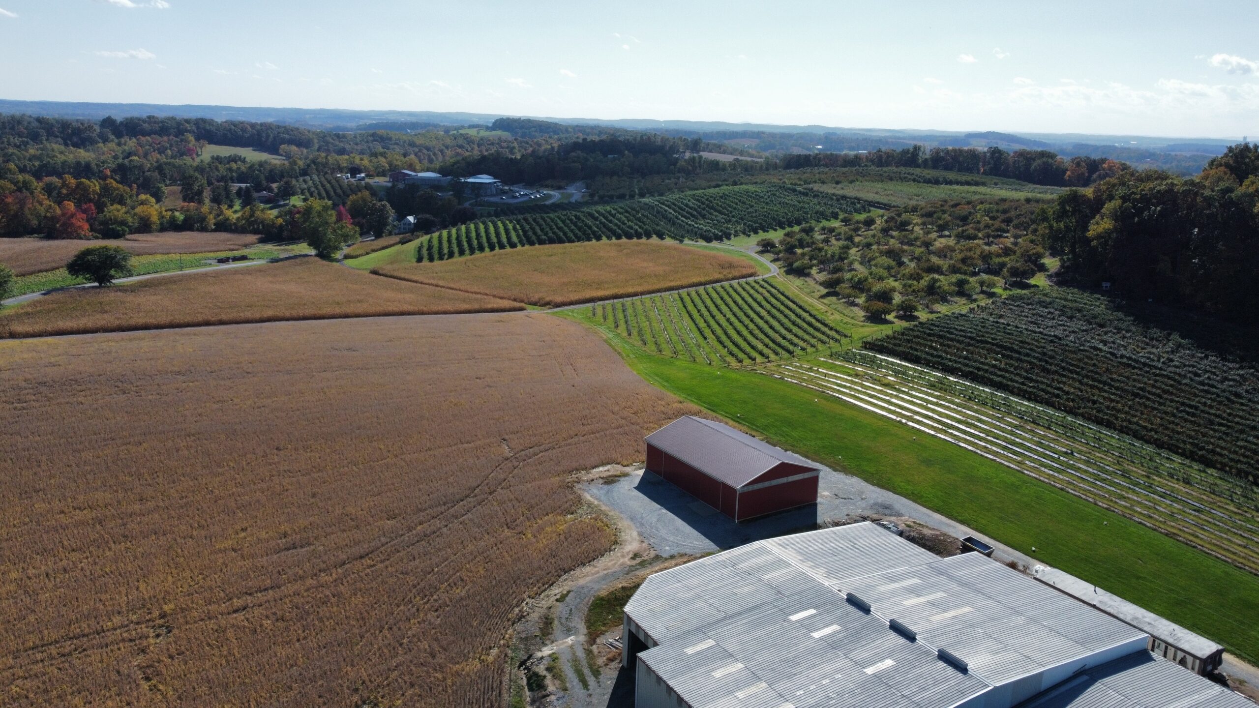 Baugher's At The Farm: Pick Your Own, Petting Zoo, Orchard Market