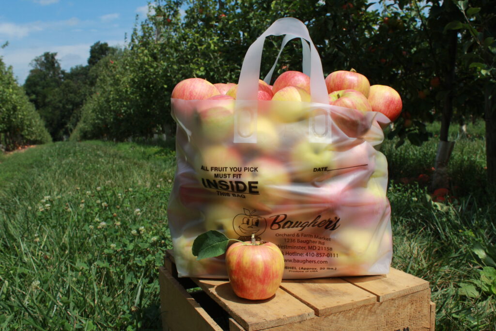 Honey Crisp Apples — Quaker Valley Orchards & Guest House